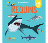 Saisissants pop-up - Requins