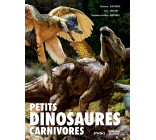 Petits dinosaures carnivores