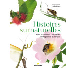 Histoires surnaturelles