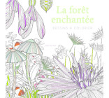 La forêt enchantée - Dessins à colorier