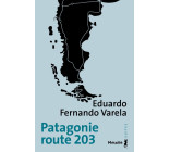 Patagonie route 203