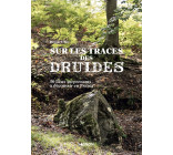 Sur la trace des druides