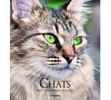 Chats