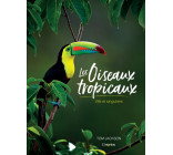 Les oiseaux tropicaux