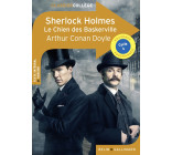 Sherlock Holmes - Le Chien des Baskerville