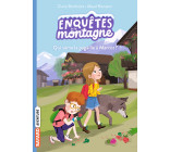 Enquêtes à la montagne, Tome 01