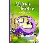 Maîtres des dragons, Tome 08