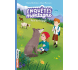 Enquêtes à la montagne, Tome 06