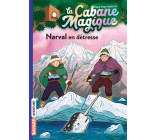 La cabane magique, Tome 54