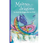 Maîtres des dragons, Tome 10