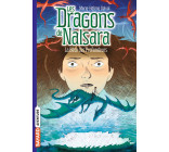 Les dragons de Nalsara, Tome 05