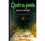 Chair de poule , Tome 16