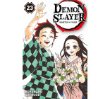 Demon Slayer T23