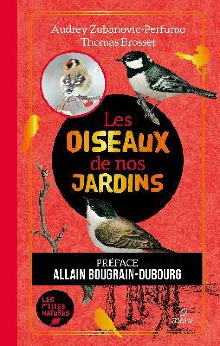 LES OISEAUX DE NOS JARDINS - BROSSET - METIVE