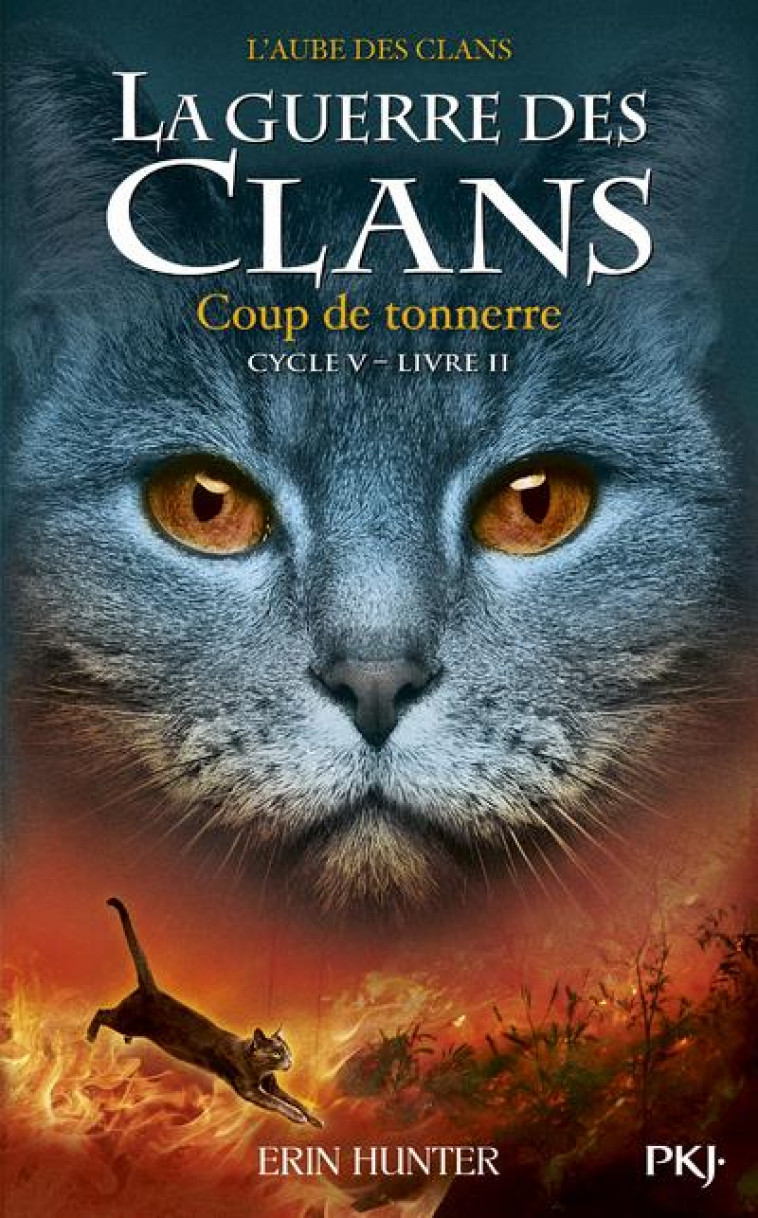 LA GUERRE DES CLANS - CYCLE V L-AUBE DES CLANS - TOME 2 COUP DE TONNERRE - VOL02 - HUNTER ERIN - POCKET