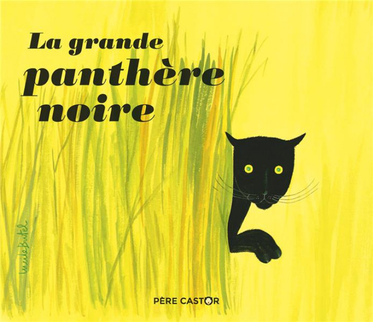 LA GRANDE PANTHERE NOIRE - BUTEL/FRANCOIS - FLAMMARION