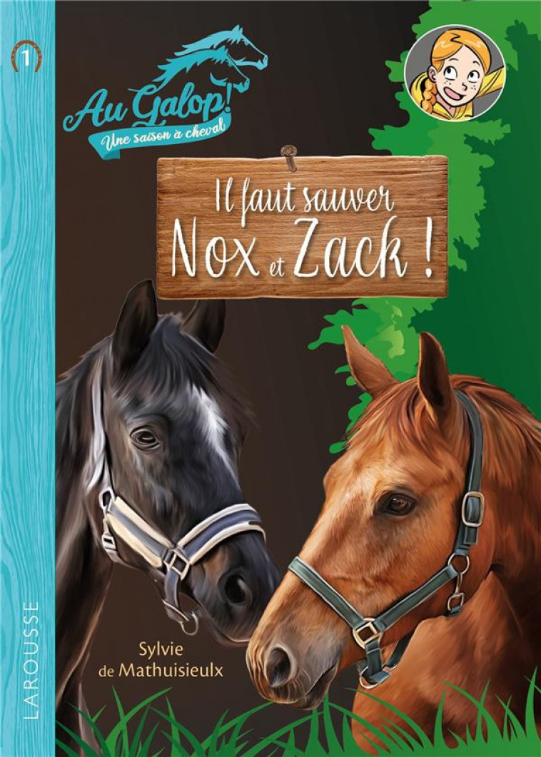 ROMAN AU GALOP, UNE ANNEE A CHEVAL - IL FAUT SAUVER NOX ET ZACH - MEHIER DE MATHUISIEU - LAROUSSE