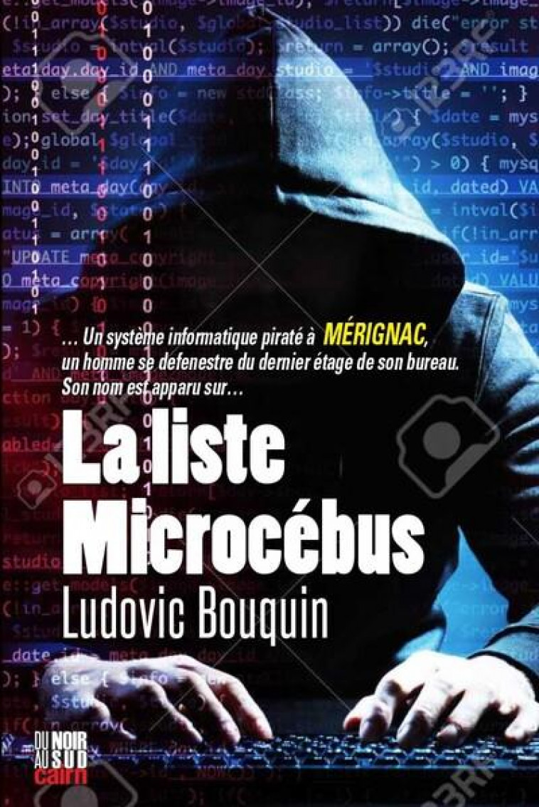 LA LISTE MICROCEBUS - BOUQUIN LUDOVIC - CAIRN