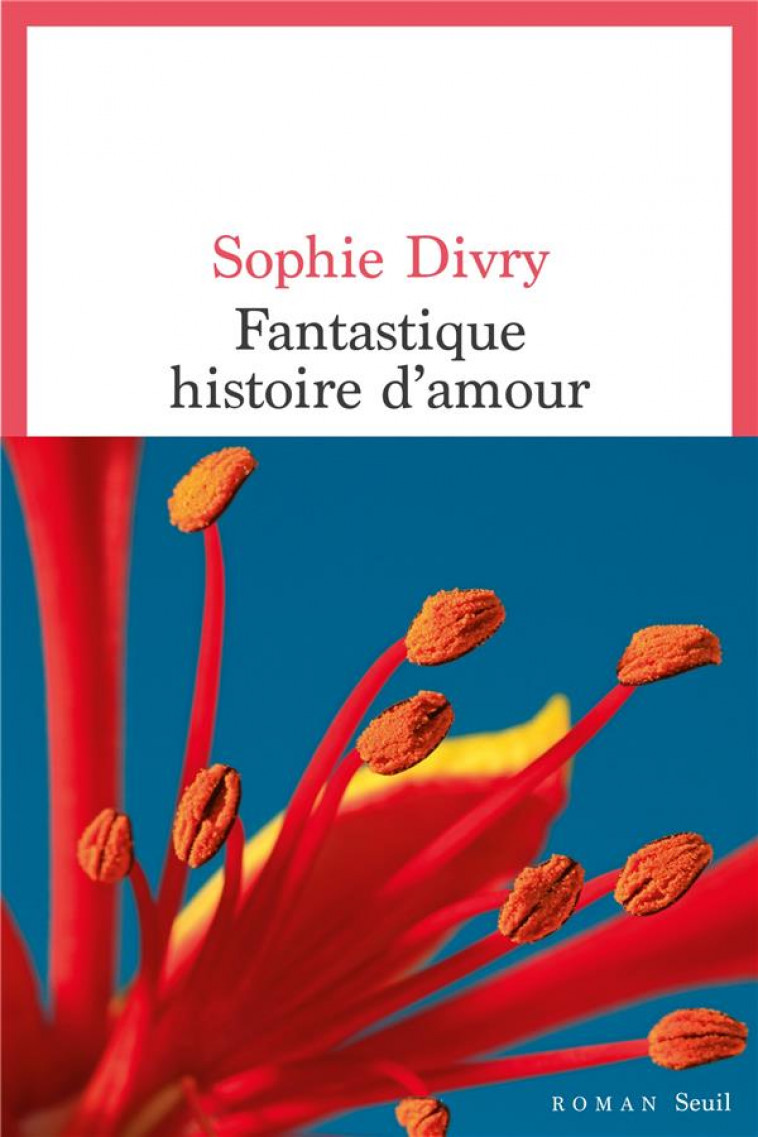 FANTASTIQUE HISTOIRE D-AMOUR - DIVRY SOPHIE - SEUIL