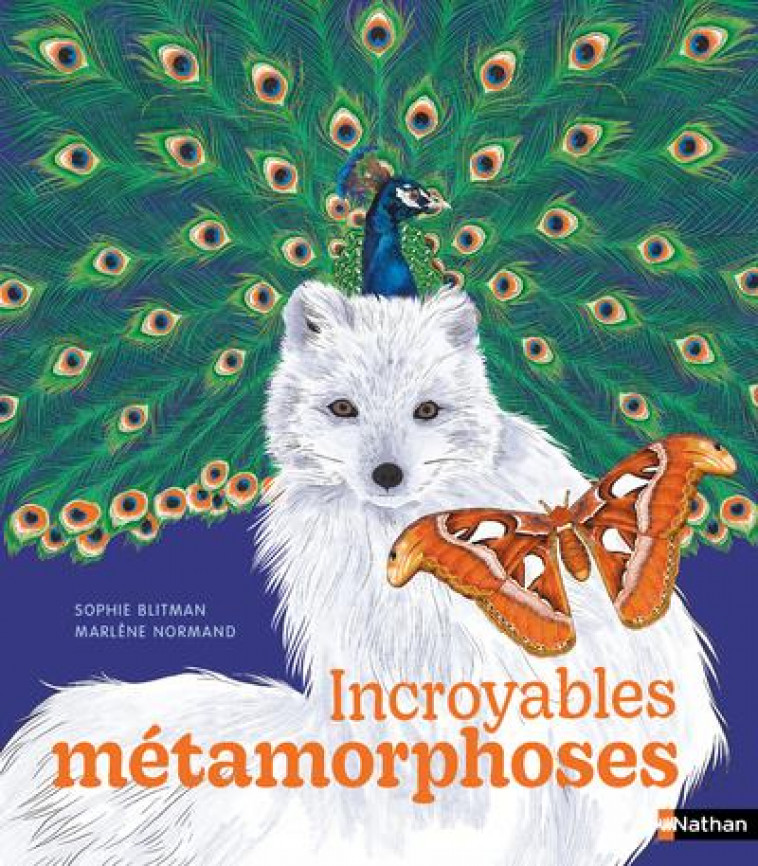 INCROYABLES METAMORPHOSES - BLITMAN/NORMAND - CLE INTERNAT