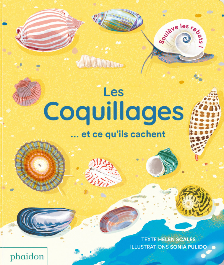 LES COQUILLAGES  ET CE QU-ILS CACHENT - Helen SCALES, Sonia PULIDO - PHAIDON FRANCE