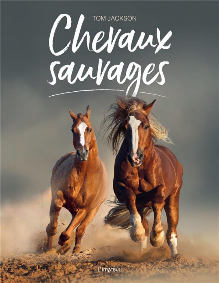 LES CHEVAUX SAUVAGES - XXX - L IMPREVU