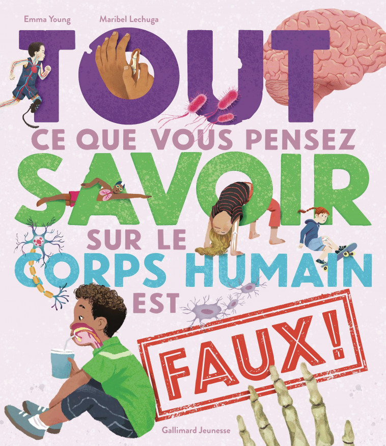 Tout ce que vous pensez savoir sur le corps humain est faux ! -  EMMA YOUNG, Emma Young, Maribel Lechuga, Bérengère Viennot - GALLIMARD JEUNE