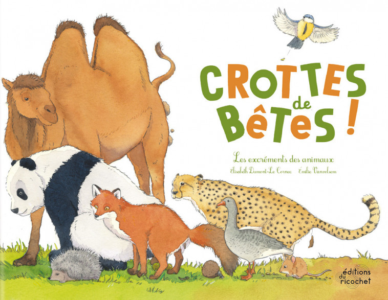 CROTTES DE BÊTES - LES EXCREMENTS DES ANIMAUX - Elisabeth Dumont-Le Cornec, Émilie Vanvolsem - RICOCHET