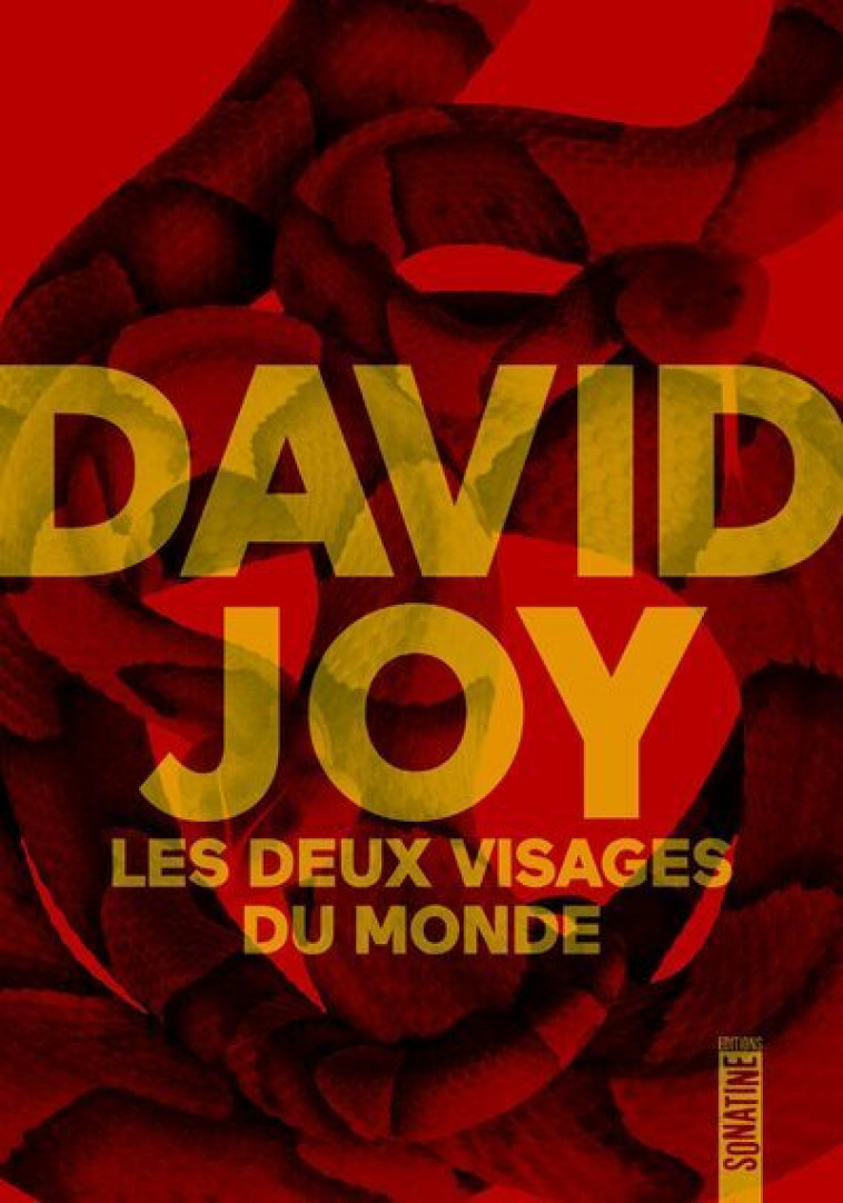 Les Deux Visages du monde - David Joy, Jean-Yves Cotté - SONATINE