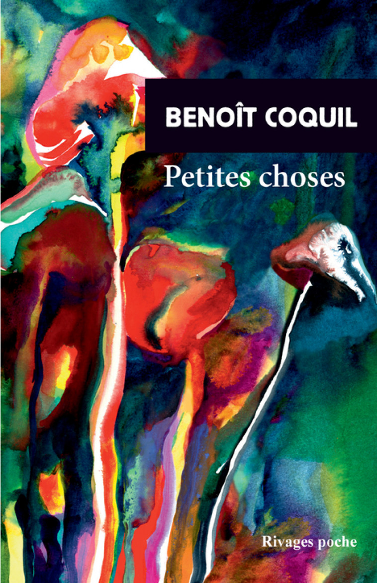 Petites choses - Benoît Coquil - RIVAGES