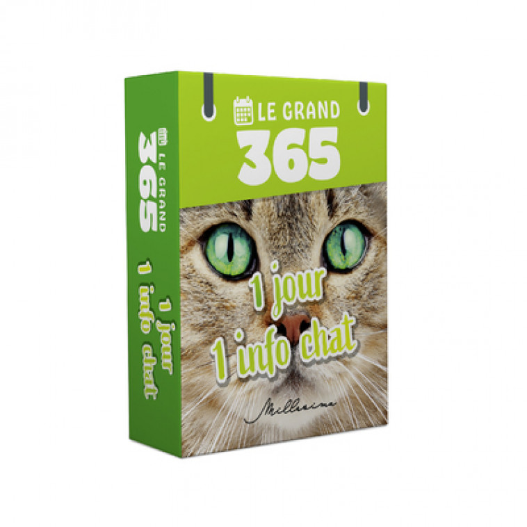 Le Grand 365 jours pour les amoureux des chats - Collectif Collectif,  Collectif - MILLESIMA