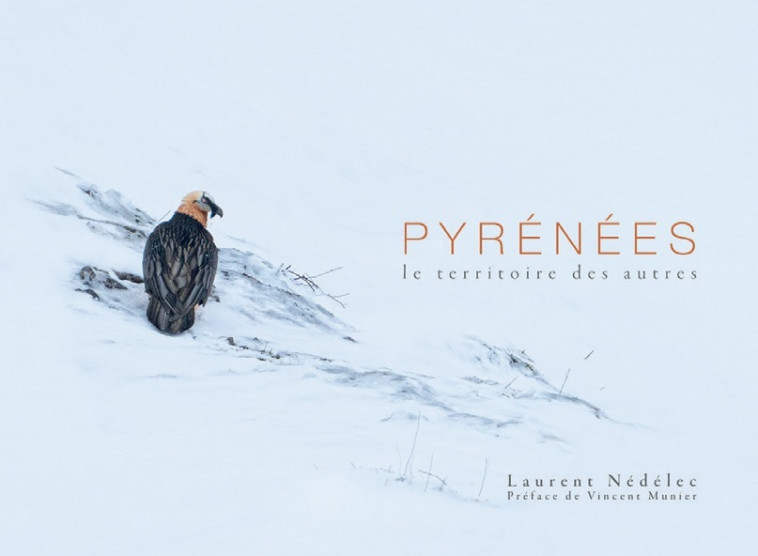 Pyrénées, le territoire des autres - Laurent Nédélec,  NEDELEC, LAURENT - CAIRN