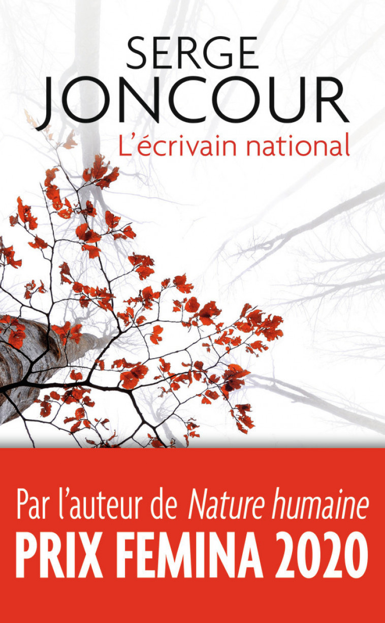 L'écrivain national - Serge Joncour - J'AI LU