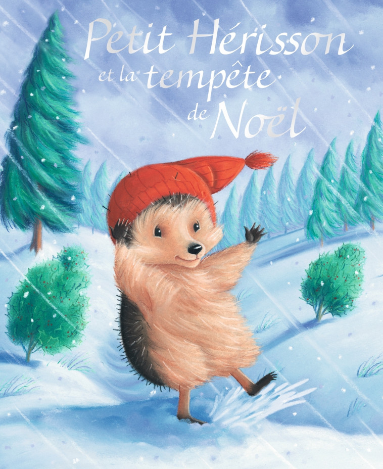 Petit Hérisson et la tempête de Noël - M. Christina Butler, Tina MacNaughton - MILAN