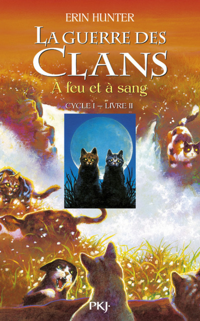 La guerre des Clans cycle I - tome 2 A feu et à sang - Erin Hunter, Cécile Pournin - POCKET JEUNESSE