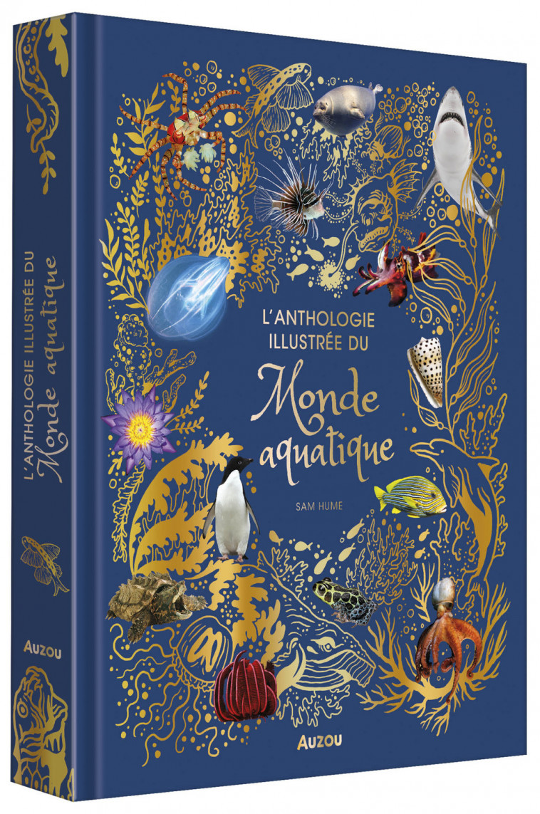 L'ANTHOLOGIE ILLUSTRÉE DU MONDE AQUATIQUE - Sam HUME, Caroline BLATTNER, Marie Leymarie - AUZOU