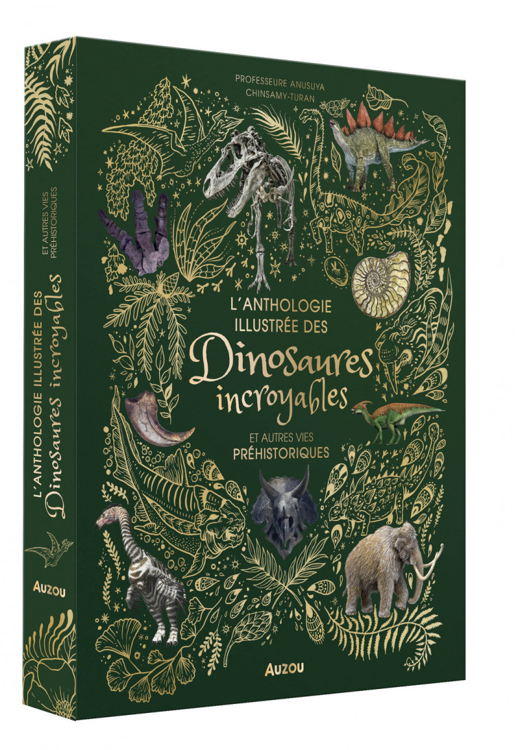 L'ANTHOLOGIE ILLUSTRÉE DES DINOSAURES INCROYABLES ET AUTRES VIES PRÉHISTORIQUES - Caroline BLATTNER - AUZOU