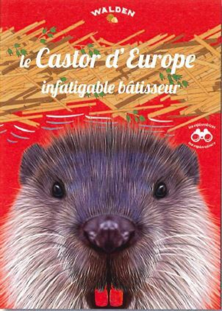 Le castor d'Europe, infatigable bâtisseur -  Collectif - WALDEN