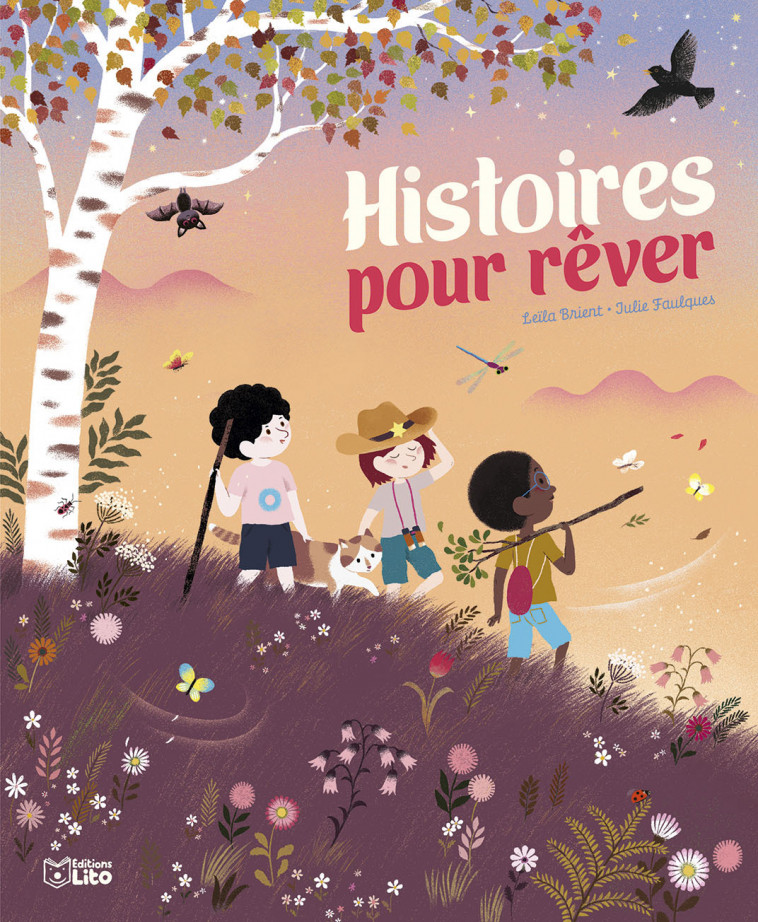 Histoires pour rêver - Leïla Brient, Julie Faulques - LITO