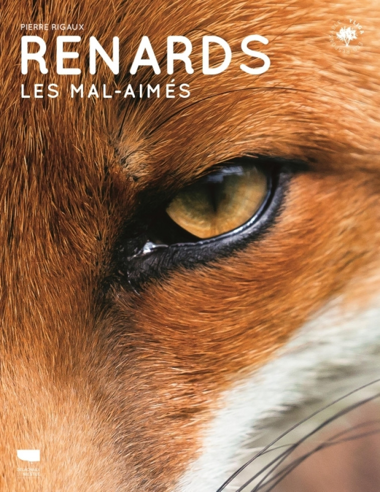 Renards - Pierre RIGAUX - DELACHAUX