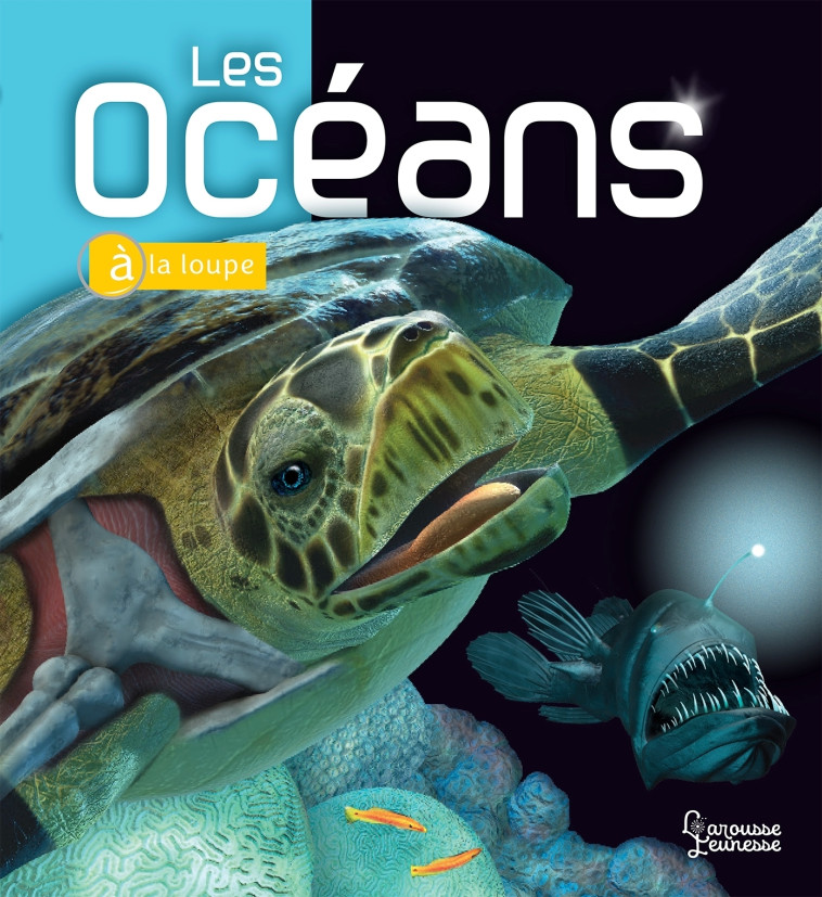 LES OCEANS - Beverly McMillan - LAROUSSE