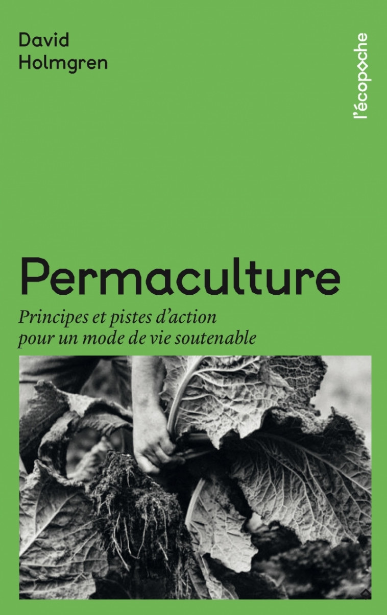 Permaculture - Principes et pistes d’action pour un mode de - David HOLMGREN, Agnès EL KAIM - RUE ECHIQUIER