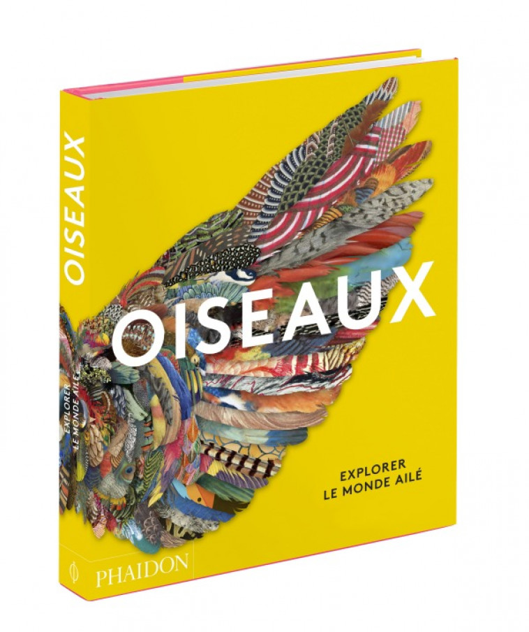 Oiseaux -  PHAIDON - PHAIDON FRANCE