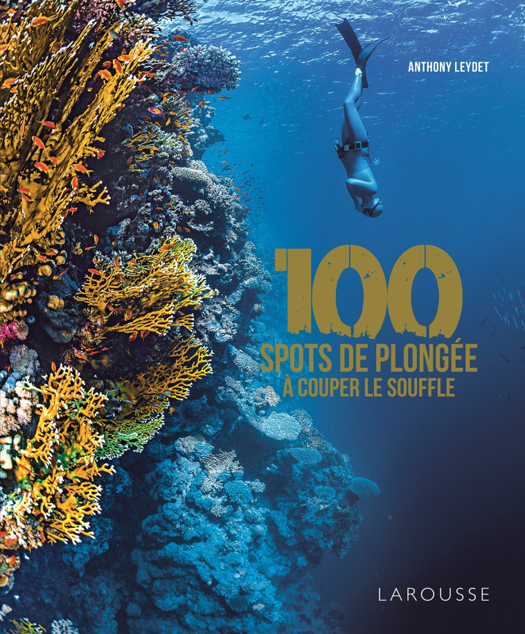 100 SPOTS DE PLONGEE A COUPER LE SOUFFLE -  Collectif - LAROUSSE