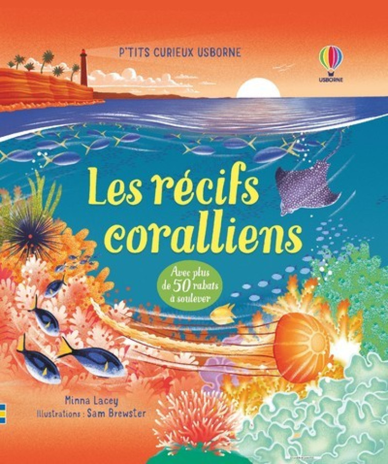 Les récifs coralliens - P'tits curieux Usborne - Minna Lacey, Sam Brewster, Holly Lamont, Ian McNee, Virginie Clauzel - USBORNE