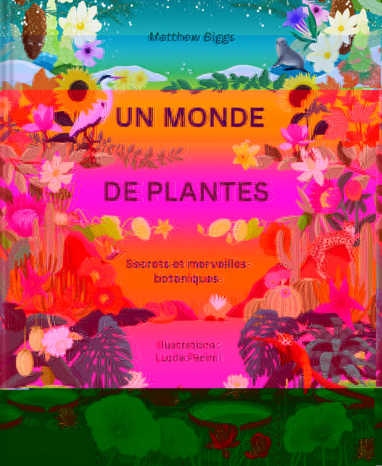 UN MONDE DE PLANTES - Matthew BIGGS, Lucila PERINI - PHAIDON FRANCE