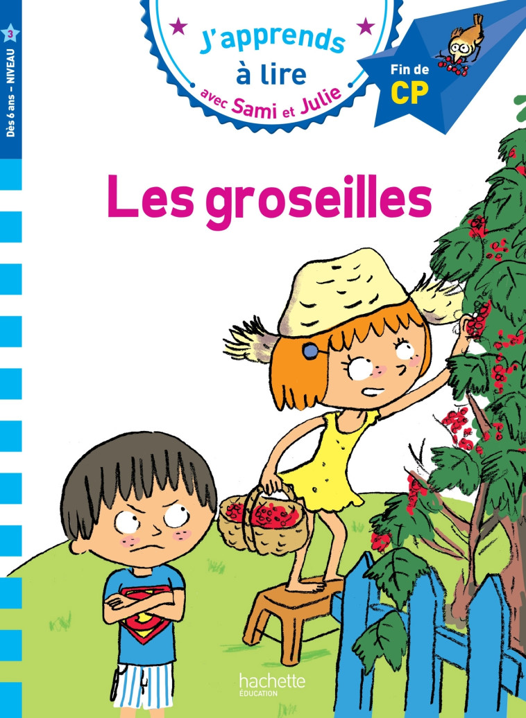 Sami et Julie CP Niveau 3 Les Groseilles - Thérèse Bonté, Emmanuelle Massonaud - HACHETTE EDUC