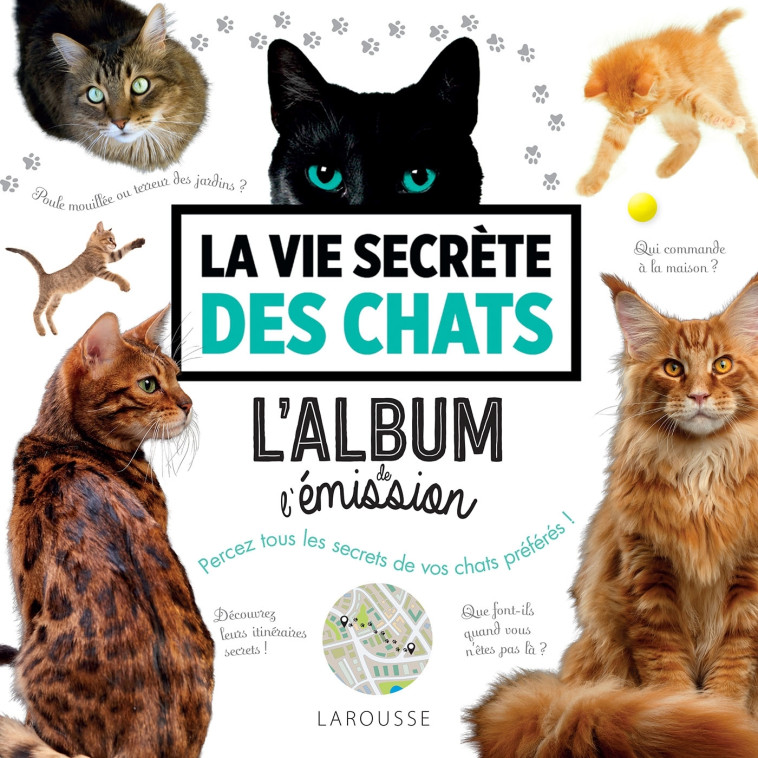 LA VIE SECRETE DES CHATS - L-ALBUM DE L-EMISSION - Laetitia Barlerin - LAROUSSE