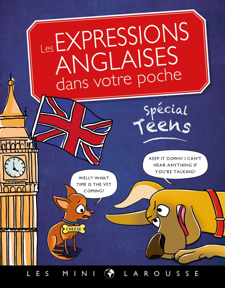 LES EXPRESSIONS ANGLAISES DANS VOTRE POCHE, SPECIAL TEENS -  Collectif - LAROUSSE