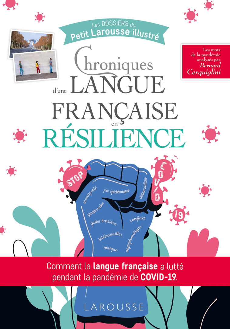 CHRONIQUES D-UNE LANGUE FRANCAISE EN RESILIENCE - Bernard Cerquiglini - LAROUSSE